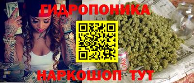 спайс Коммунар