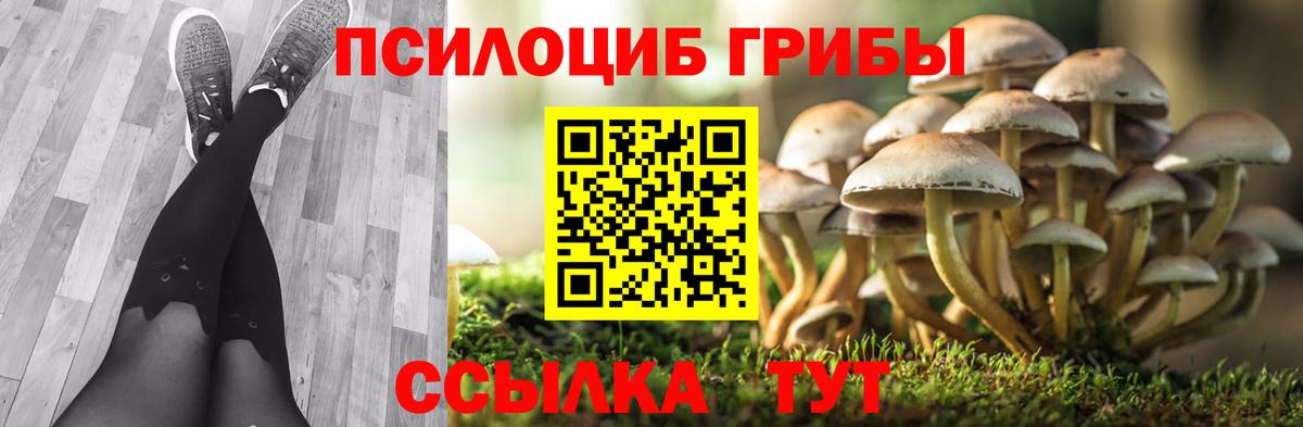 Псилоцибиновые грибы мухоморы Канаш